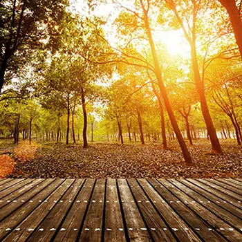 фон для фотосъемки осеннего солнца 5х7 футов с рисунком деревянного пола и фоном для лесной фотостудии